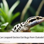Can Leopard Geckos Eat Bugs from Outside