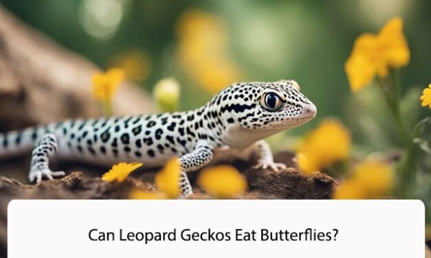 Can Leopard Geckos Eat Butterflies?