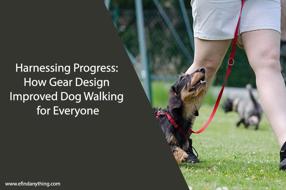 Harnessing Progress: How Gear Design Improved Dog Walking for Everyone