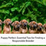 Responsible Breeder