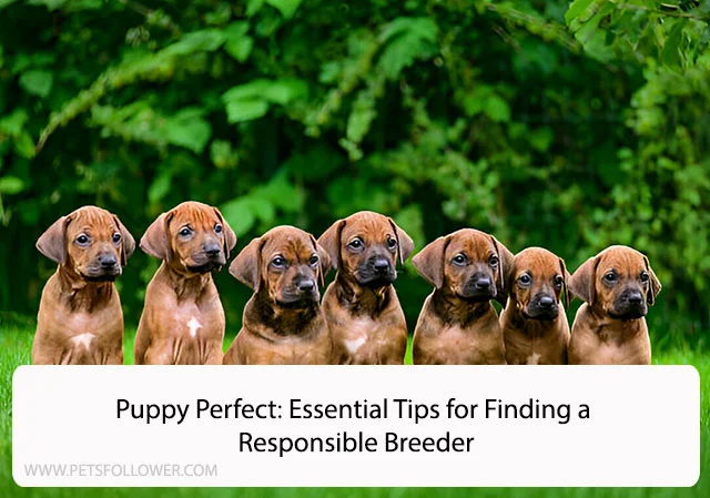 Responsible Breeder
