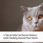 Litter Tracking