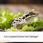 Can Leopard Geckos Eat Cabbage