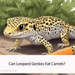 Can Leopard Geckos Eat Carrots