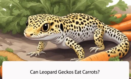 Can Leopard Geckos Eat Carrots?