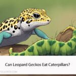Can Leopard Geckos Eat Caterpillars