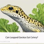 Can Leopard Geckos Eat Celery
