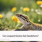 Can Leopard Geckos Eat Dandelions