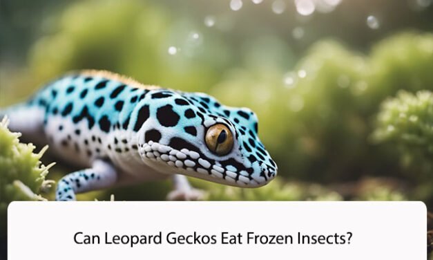 Can Leopard Geckos Eat Frozen Insects?