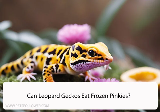 Can Leopard Geckos Eat Frozen Pinkies
