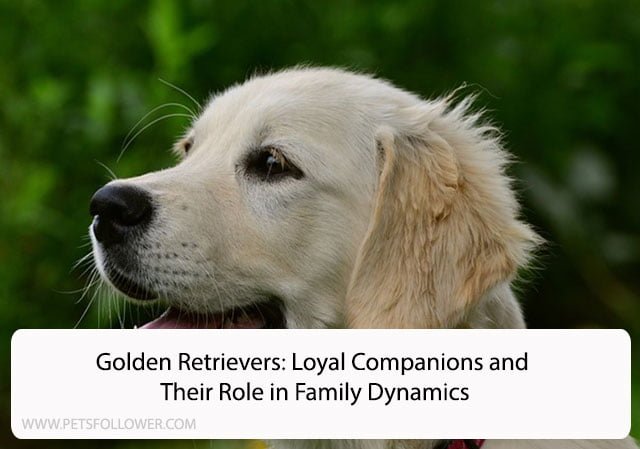 Golden Retrievers: Loyal Companions and Their Role in Family Dynamics