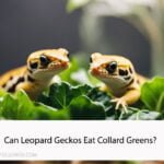 Can Leopard Geckos Eat Collard Greens?