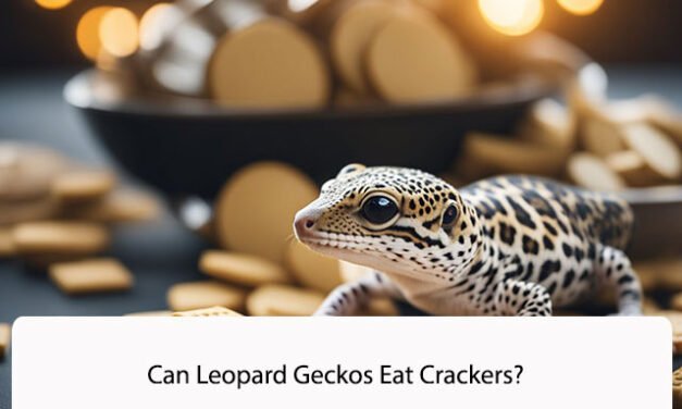 Can Leopard Geckos Eat Crackers?