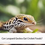 Can Leopard Geckos Eat Cricket Foods