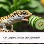 Can Leopard Geckos Eat Cucumber