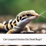 Can Leopard Geckos Eat Dead Bugs