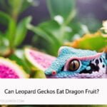 Can Leopard Geckos Eat Dragon Fruit?