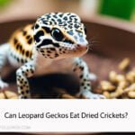 Can Leopard Geckos Eat Dried Crickets