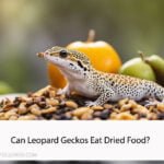 Can Leopard Geckos Eat Dried Food