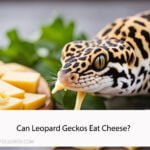 Can Leopard Geckos Eat Cheese