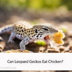 Can Leopard Geckos Eat Chicken