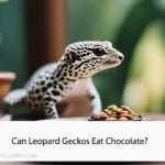 Can Leopard Geckos Eat Chocolate