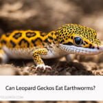 Can Leopard Geckos Eat Earthworms