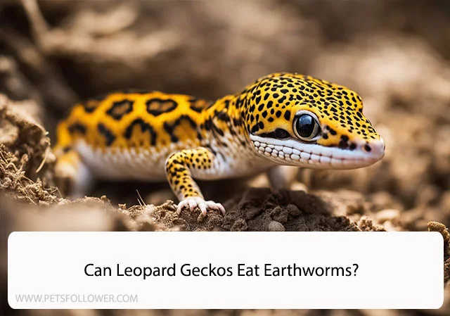 Can Leopard Geckos Eat Earthworms?