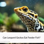 Can Leopard Geckos Eat Feeder Fish