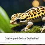 Can Leopard Geckos Eat Fireflies