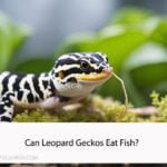 Can Leopard Geckos Eat Fish