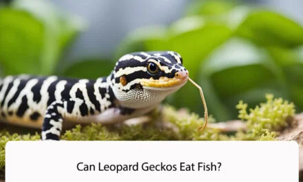Can Leopard Geckos Eat Fish?
