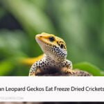 Can Leopard Geckos Eat Freeze Dried Crickets