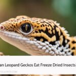 Can Leopard Geckos Eat Freeze Dried Insects
