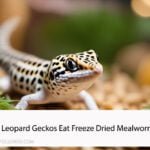 Can Leopard Geckos Eat Freeze Dried Mealworms