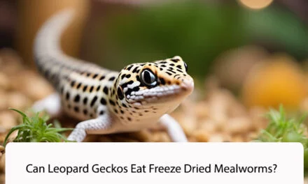 Can Leopard Geckos Eat Freeze Dried Mealworms?