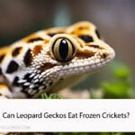 Can Leopard Geckos Eat Frozen Crickets