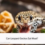 Can Leopard Geckos Eat Meat