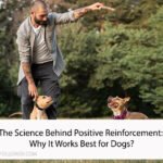 The Science Behind Positive Reinforcement: Why It Works Best for Dogs?