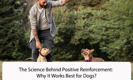 The Science Behind Positive Reinforcement: Why It Works Best for Dogs?