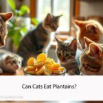 Can Cats Eat Plantains
