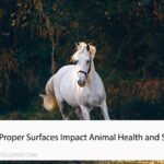 How Proper Surfaces Impact Animal Health and Safety