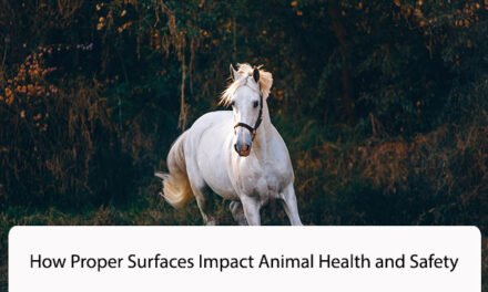 How Proper Surfaces Impact Animal Health and Safety