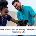 Pet Healthy