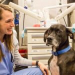 Affordable Pet Telehealth