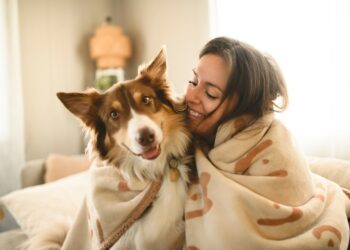 Winter care tips for dogs