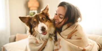 Winter care tips for dogs
