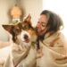 Winter care tips for dogs