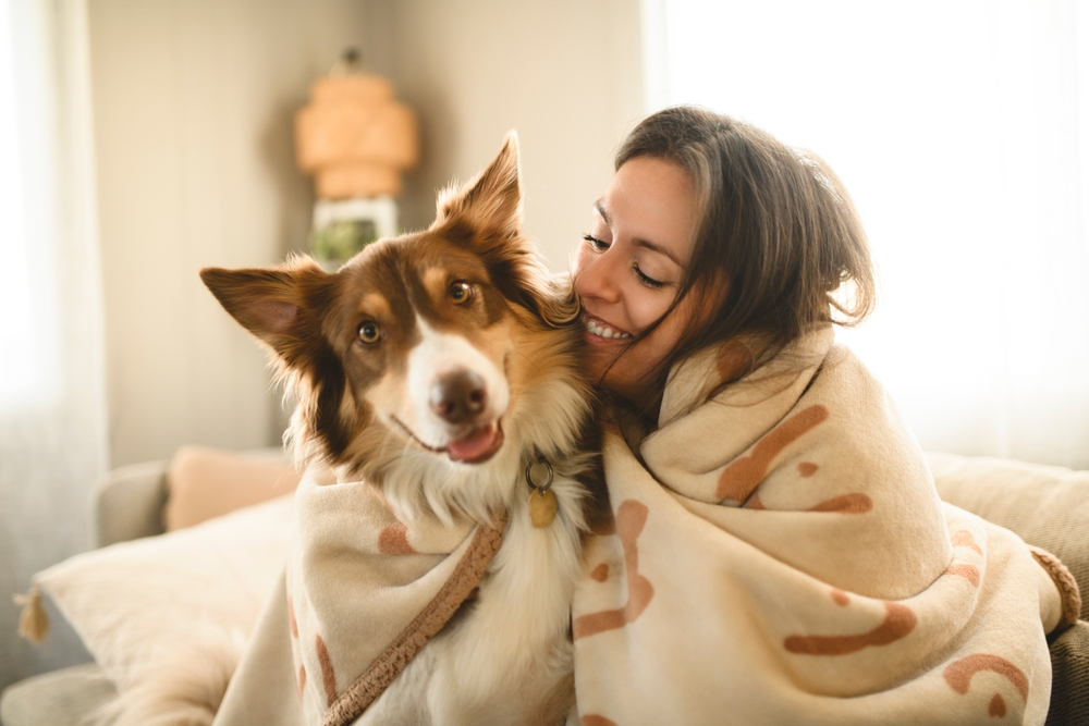 Winter care tips for dogs