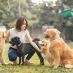 How to Prepare Your Dog for Their First Boarding Stay